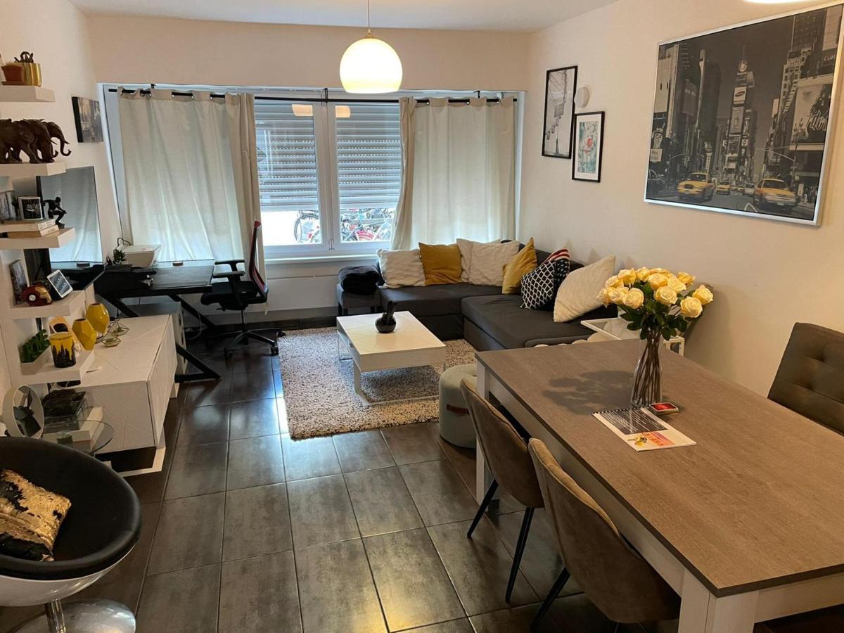Modern Apartment With Garden In Antwerp, 15Min From City Center Dış mekan fotoğraf